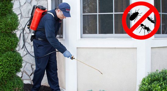 Yeniçağa Kemirgen İlaçlama böcek ilaçlama ve haşere kontrolü — ilaclama-tr.com